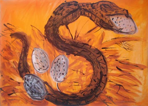 Luca Gruber, 13 Jahre