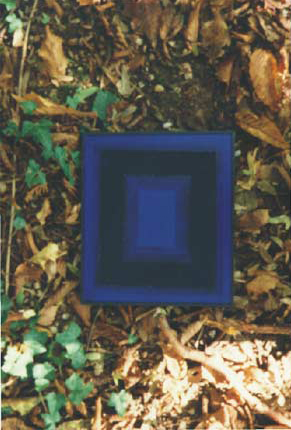 Aktion Kunst in der Natur
